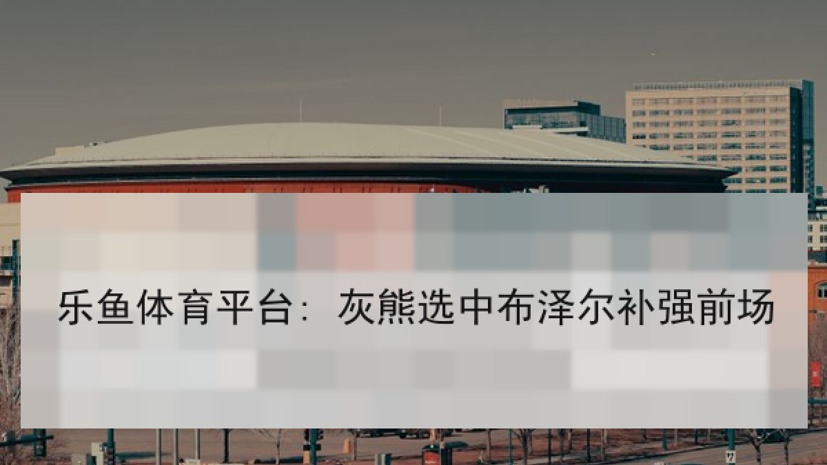 乐鱼体育平台: 灰熊选中布泽尔补强前场